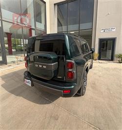 HAVAL H9